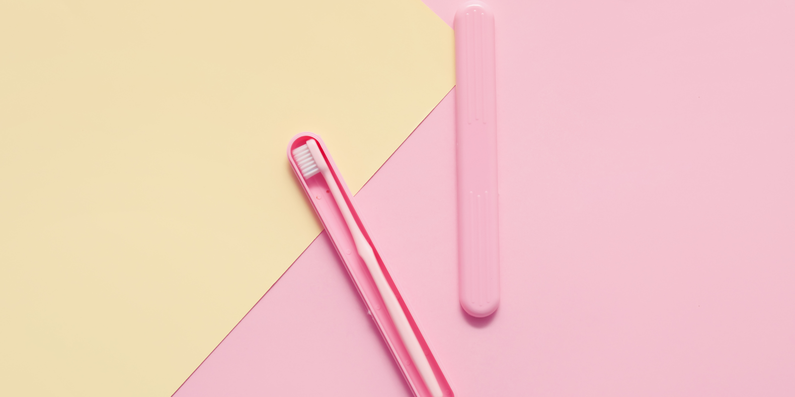 Case Toothbrush